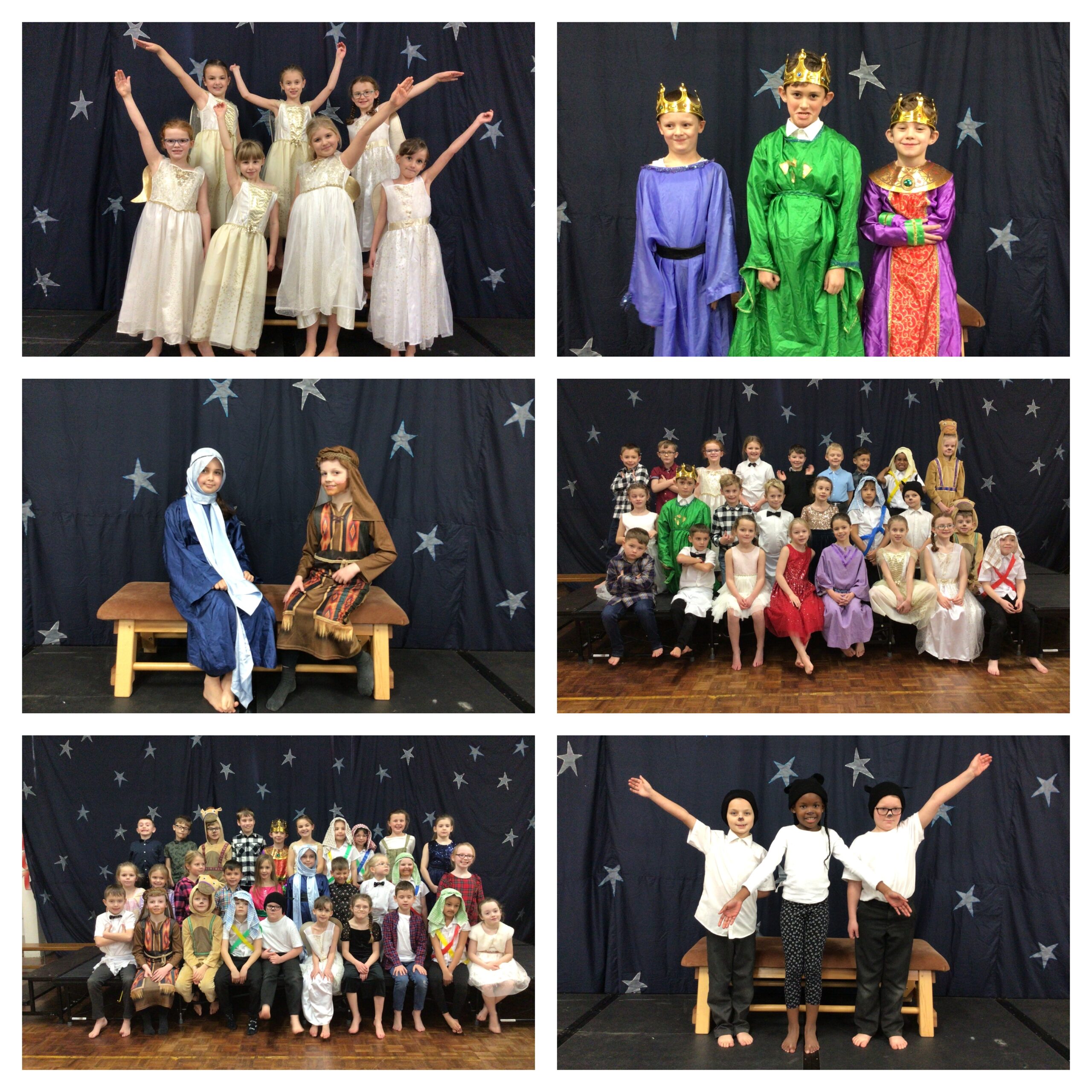 Lights, Camel, Action Success! | Westfields Junior School